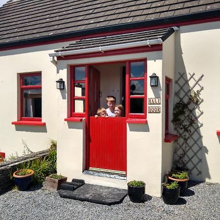 Half Door Cottage دولين المظهر الخارجي الصورة