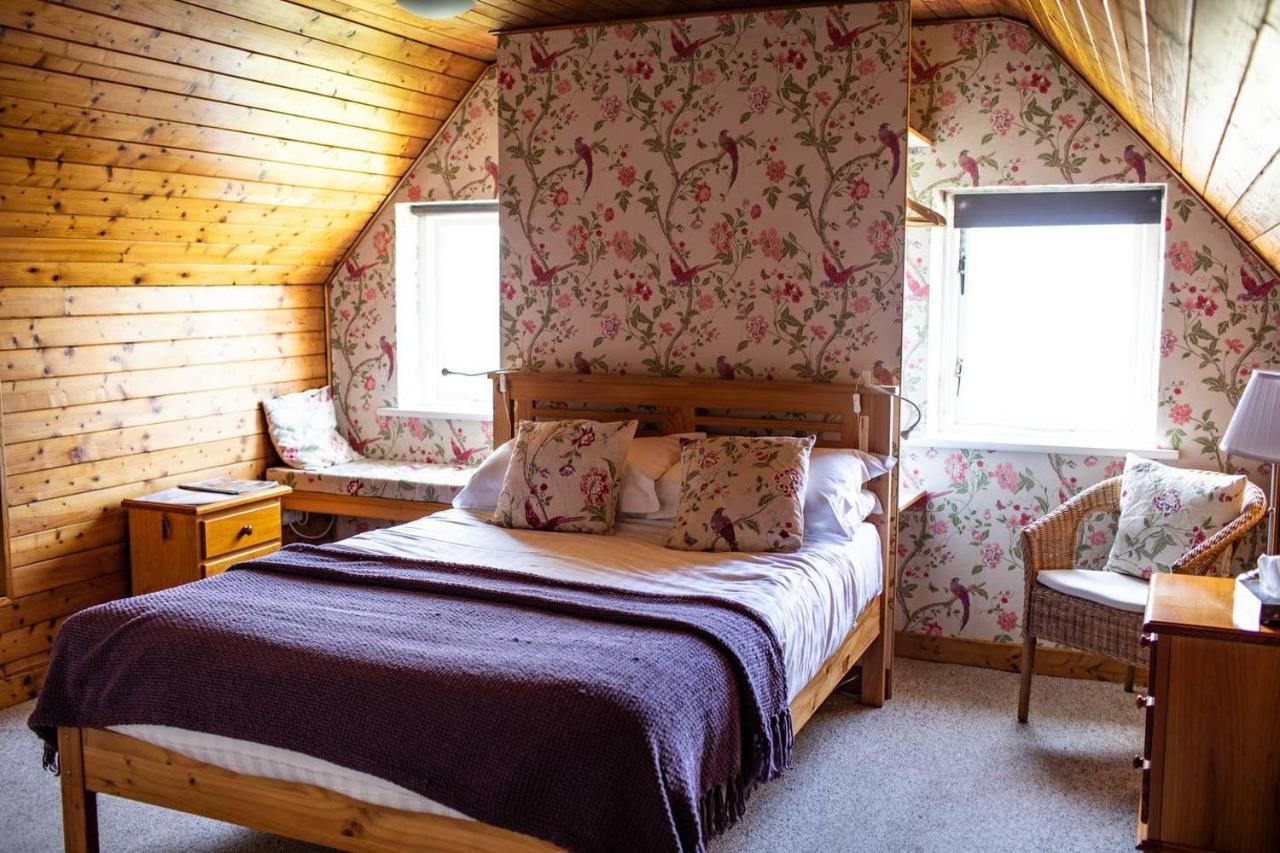 Half Door Cottage دولين المظهر الخارجي الصورة